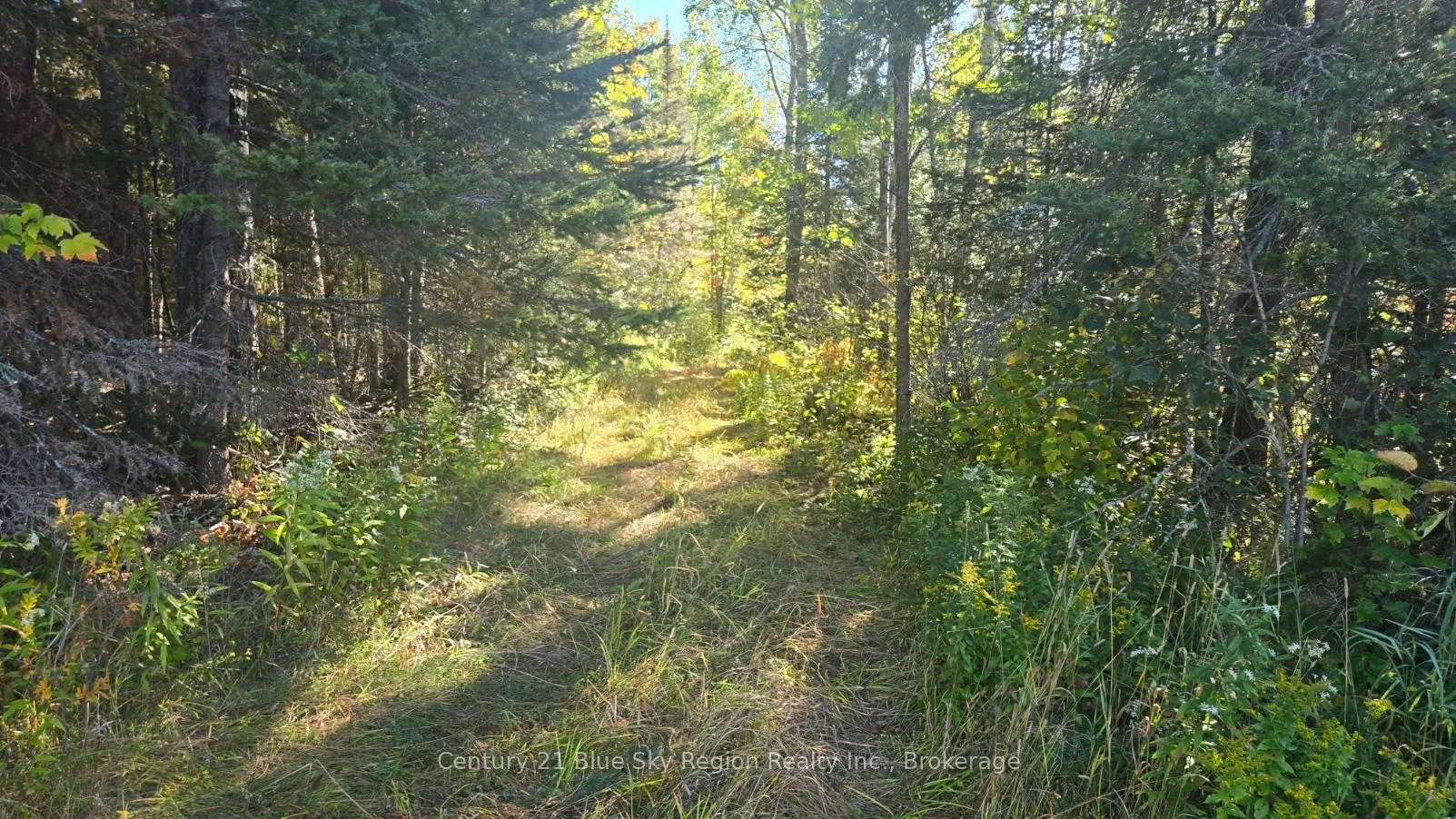 Photo 10 of Pt LT 1 CON 13 Trappers Road, Chisholm — HOMEH