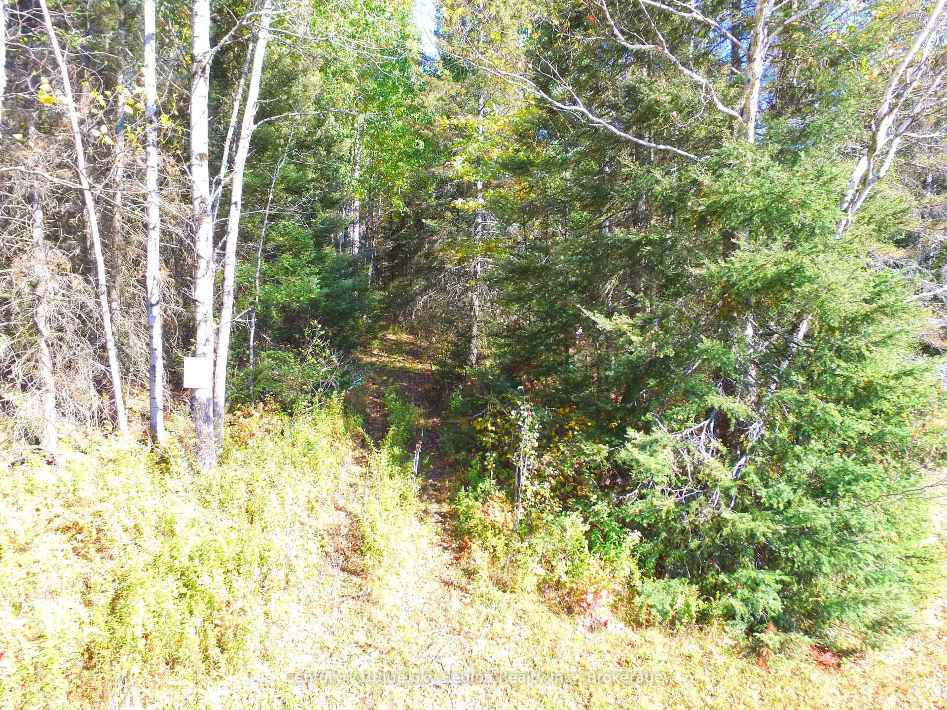 Photo 18 of Pt LT 1 CON 13 Trappers Road, Chisholm — HOMEH