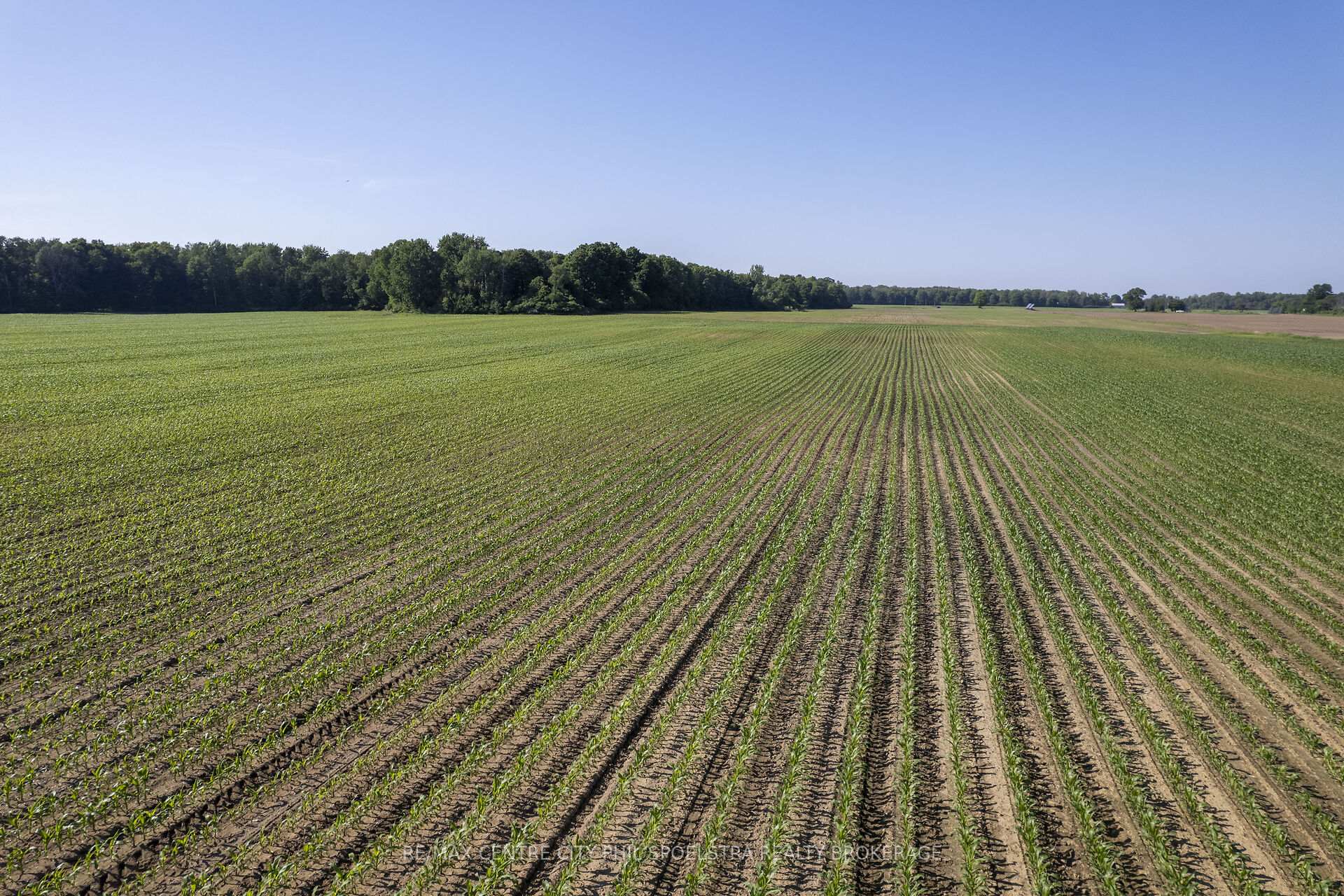 Photo 13 of 54037 Vienna Line, Bayham, Rural Bayham — HOMEH
