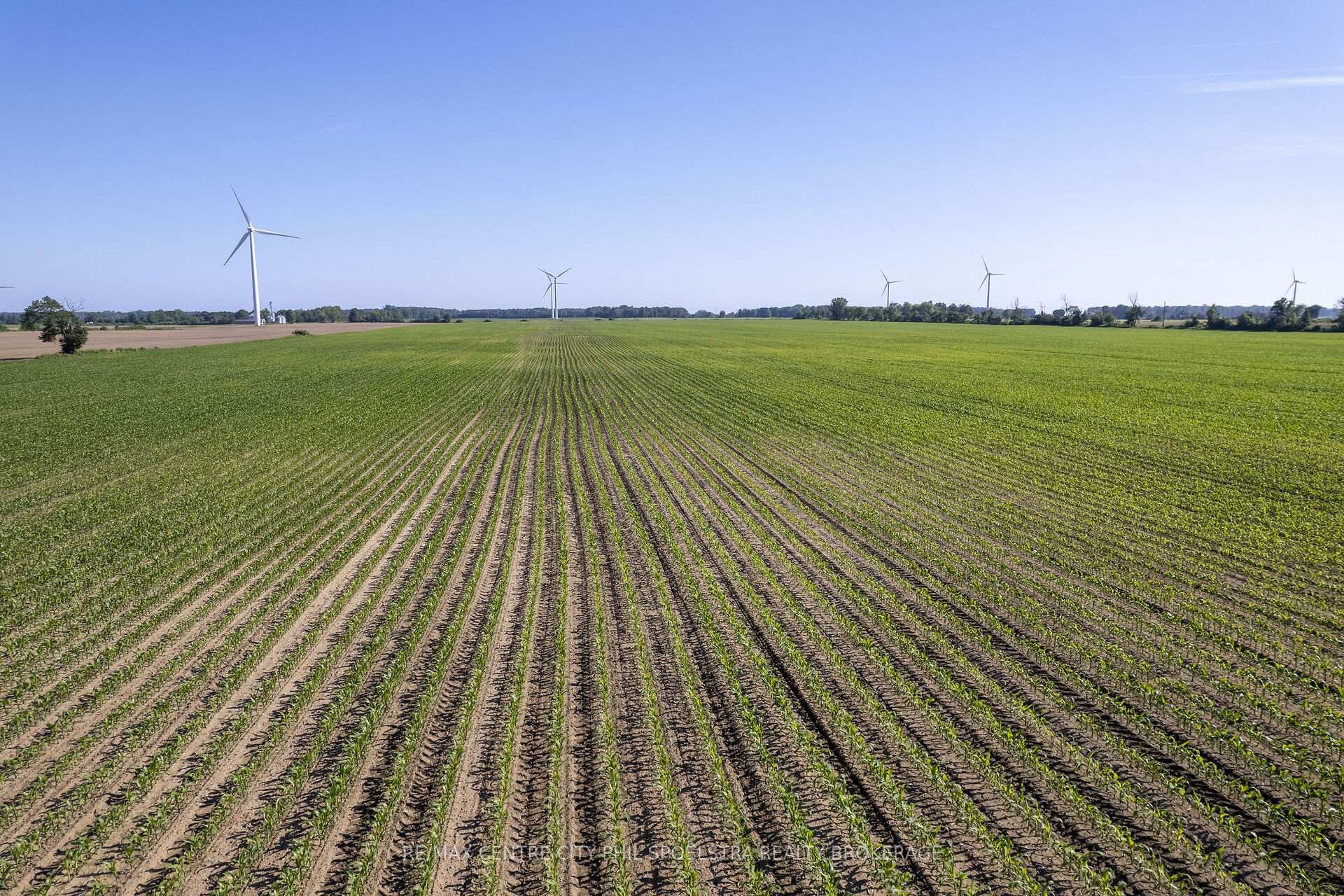 Photo 14 of 54037 Vienna Line, Bayham, Rural Bayham — HOMEH