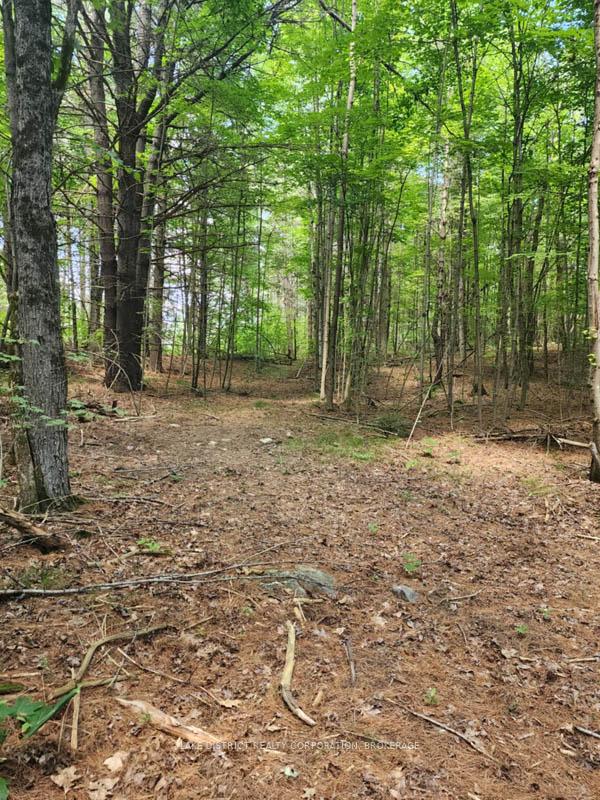 Photo 1 of Frontenac Road, Frontenac, Frontenac Centre — HOMEH