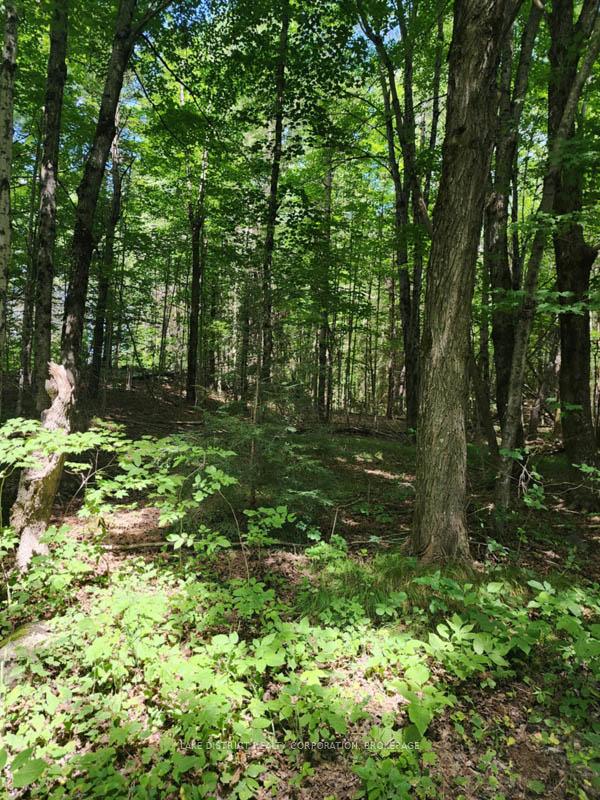 Photo 4 of Frontenac Road, Frontenac, Frontenac Centre — HOMEH