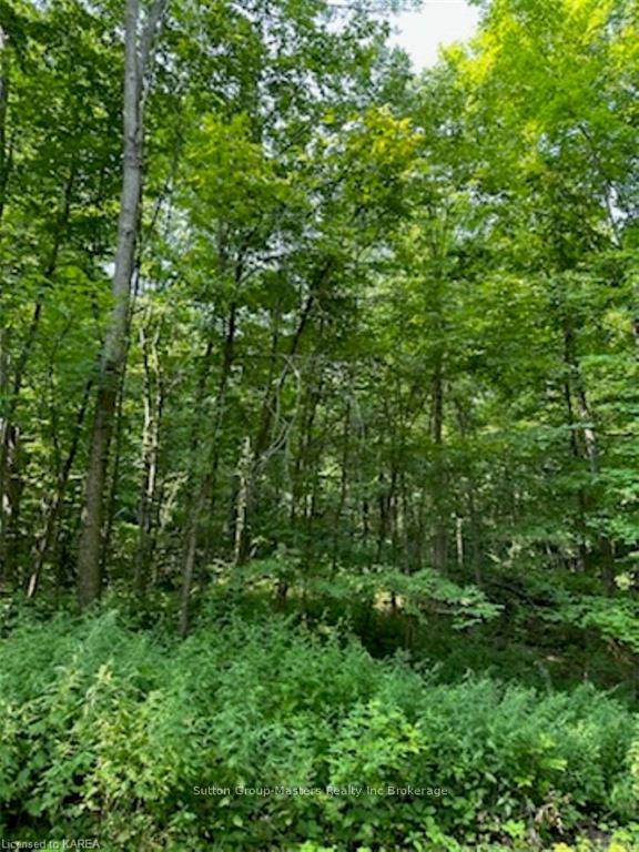 Photo 4 of PT LT 24 CON 3 Maple Grove Crescent, Frontenac, Frontenac South — HOMEH