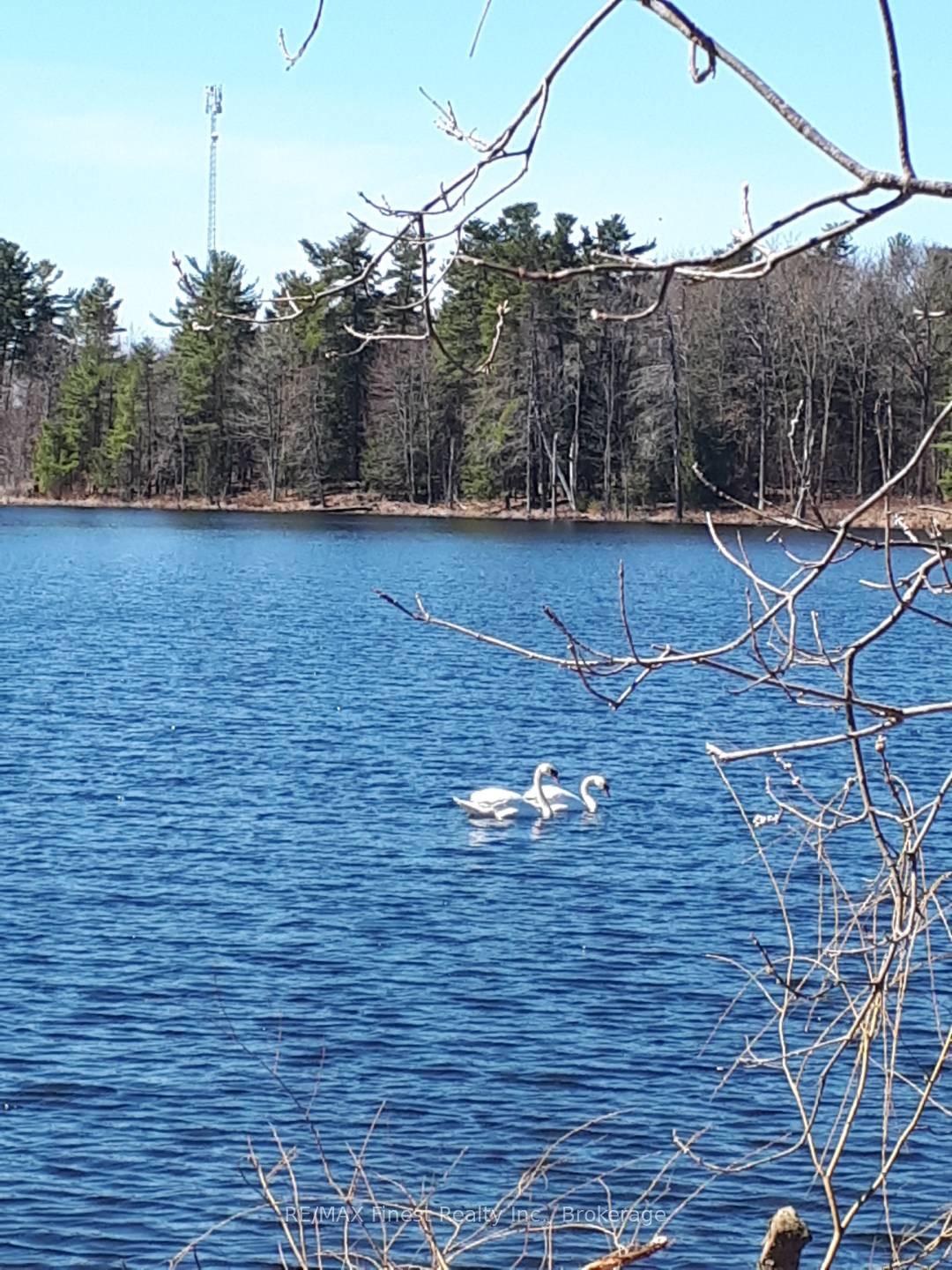 Photo 40 of 5419 Battersea Road, Frontenac, Frontenac South — HOMEH