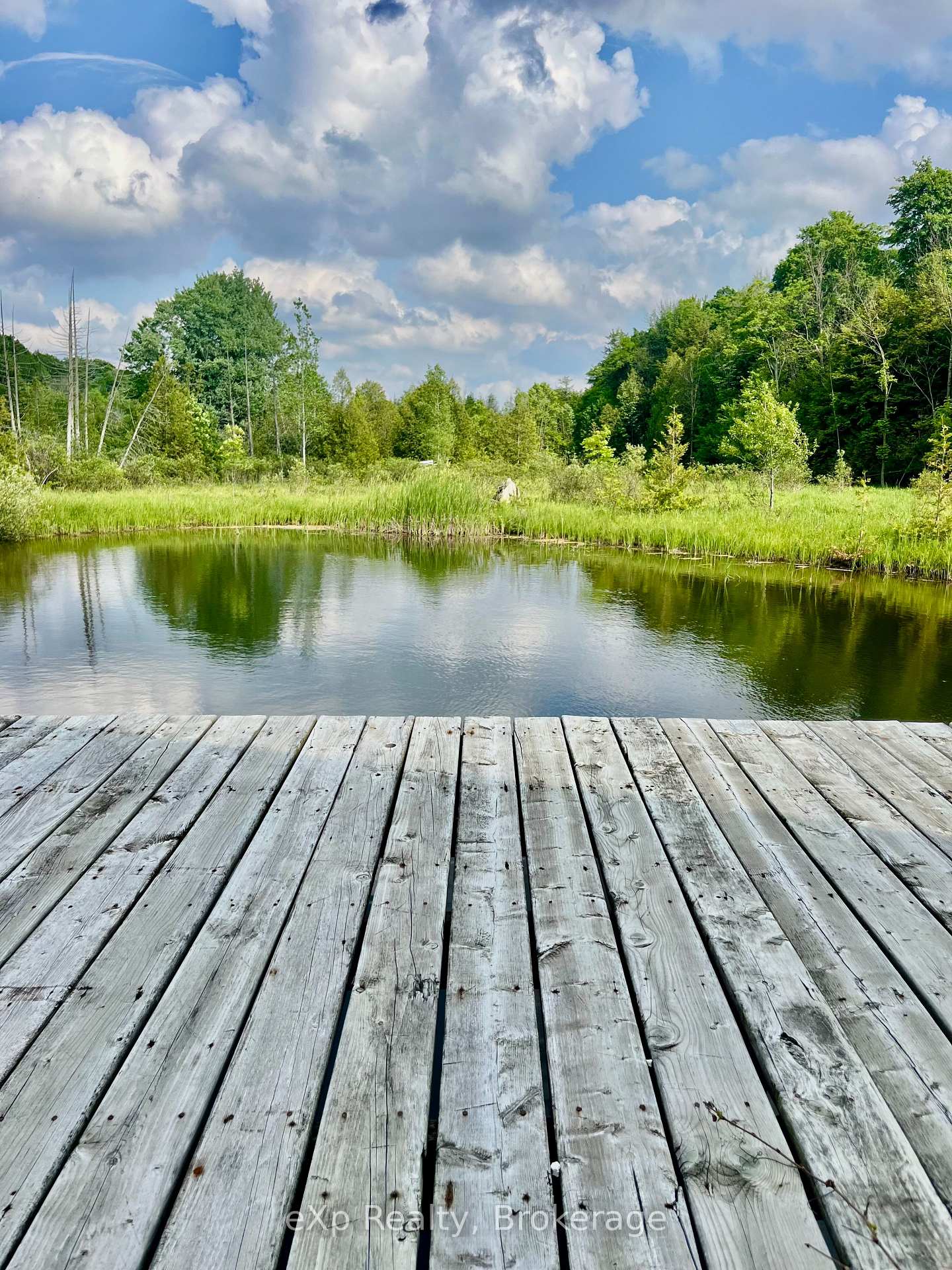 Photo 43 of 59 Maple Creek Drive, Brockton — HOMEH