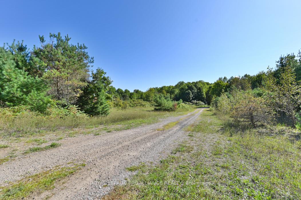Photo 3 of Unit A, 2839A Ardoch Road, Frontenac, Frontenac North — HOMEH