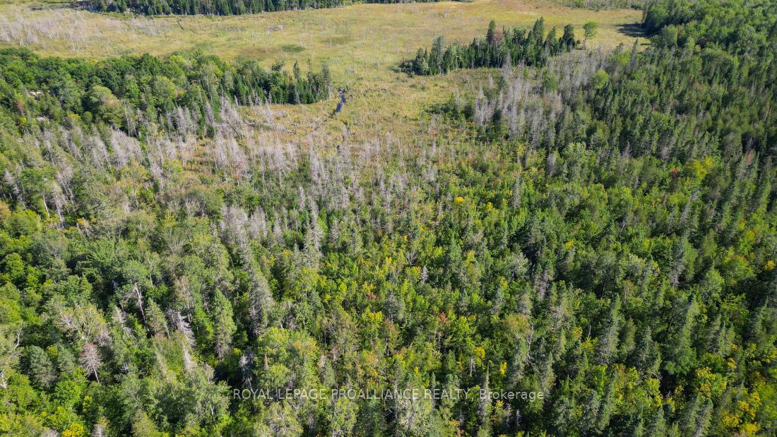 Photo 17 of Unit A, 2839A Ardoch Road, Frontenac, Frontenac North — HOMEH