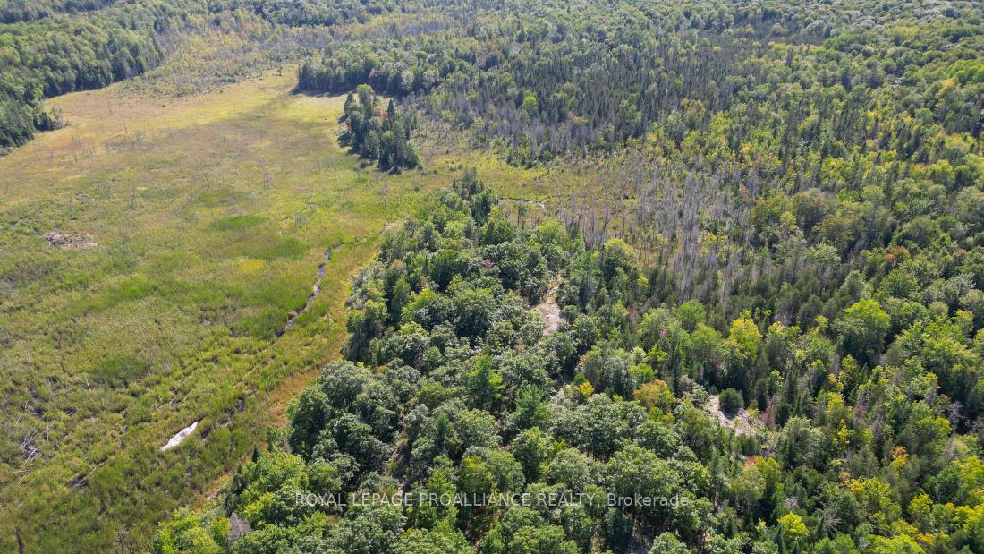 Photo 20 of Unit A, 2839A Ardoch Road, Frontenac, Frontenac North — HOMEH