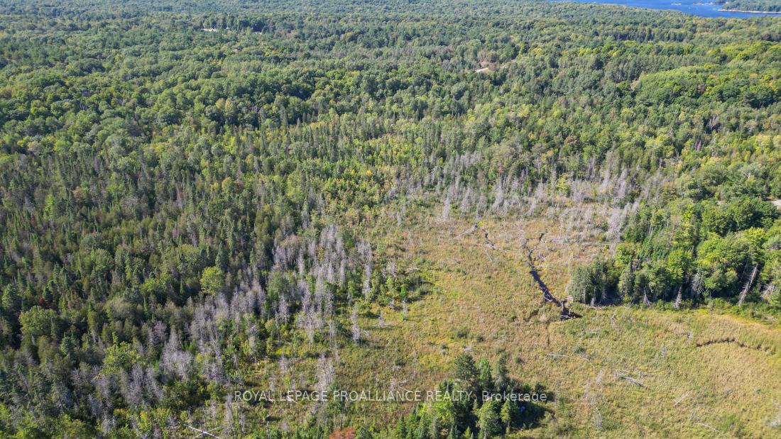 Photo 23 of Unit A, 2839A Ardoch Road, Frontenac, Frontenac North — HOMEH
