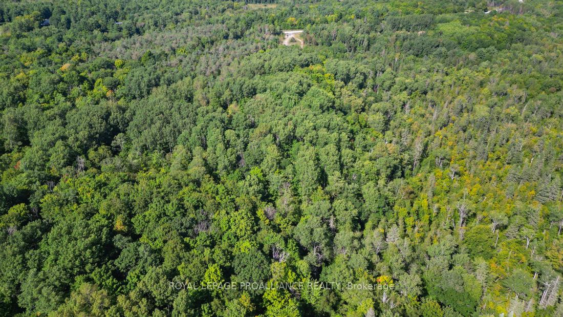 Photo 24 of Unit A, 2839A Ardoch Road, Frontenac, Frontenac North — HOMEH