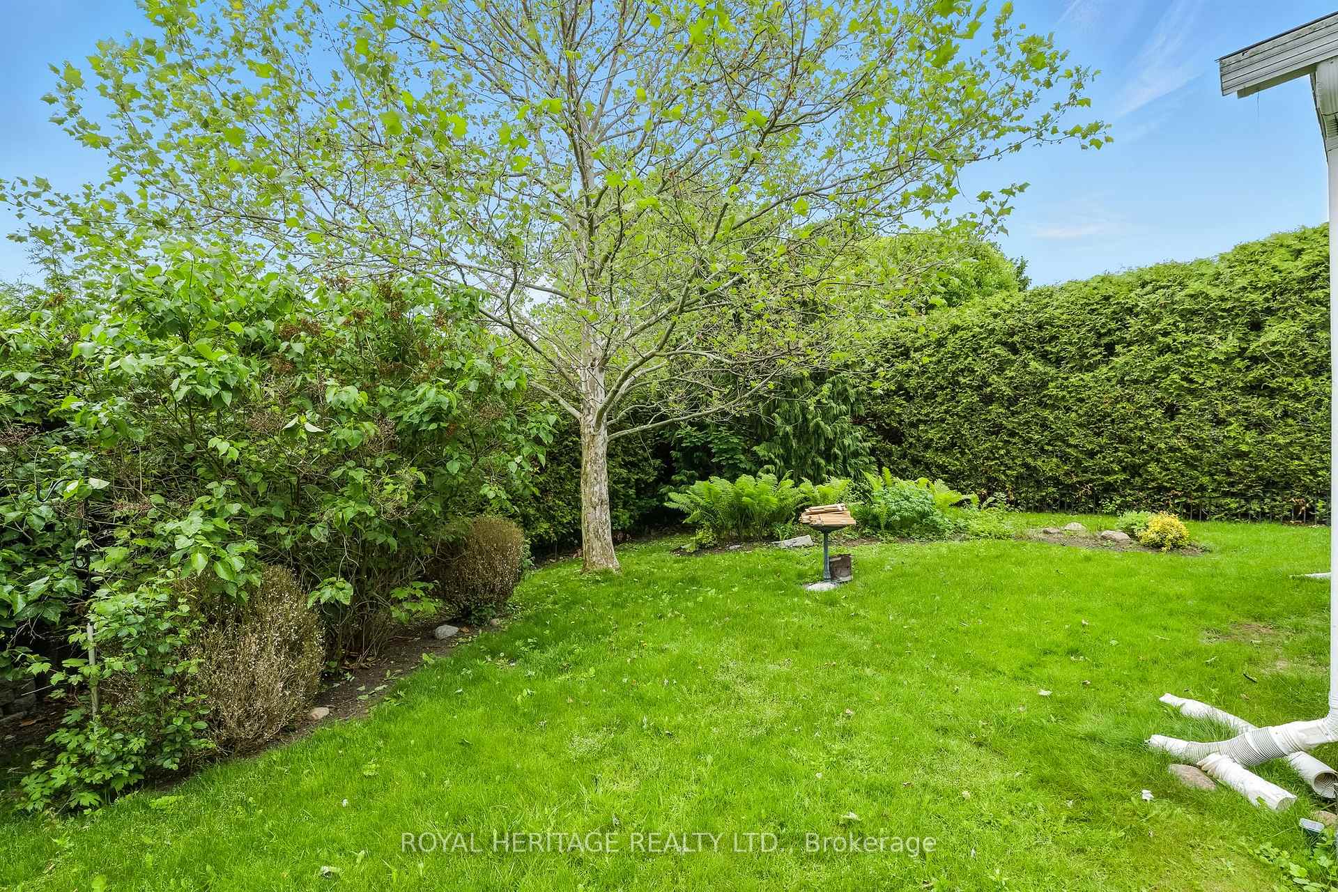 Photo 40 of 23 Mills Road, Brighton — HOMEH