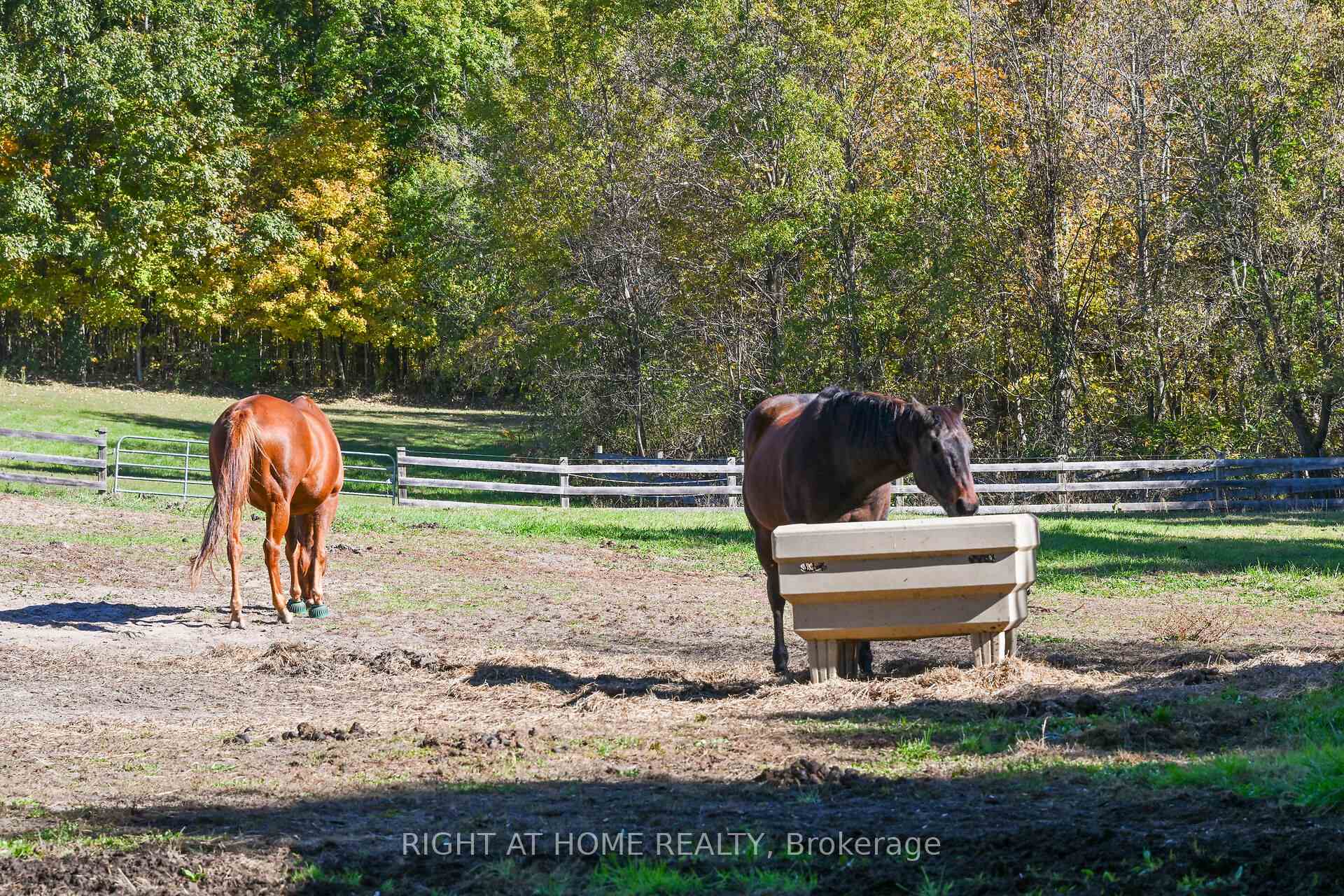 Photo 5 of 1396 Progreston Road, Hamilton, Rural Flamborough — HOMEH