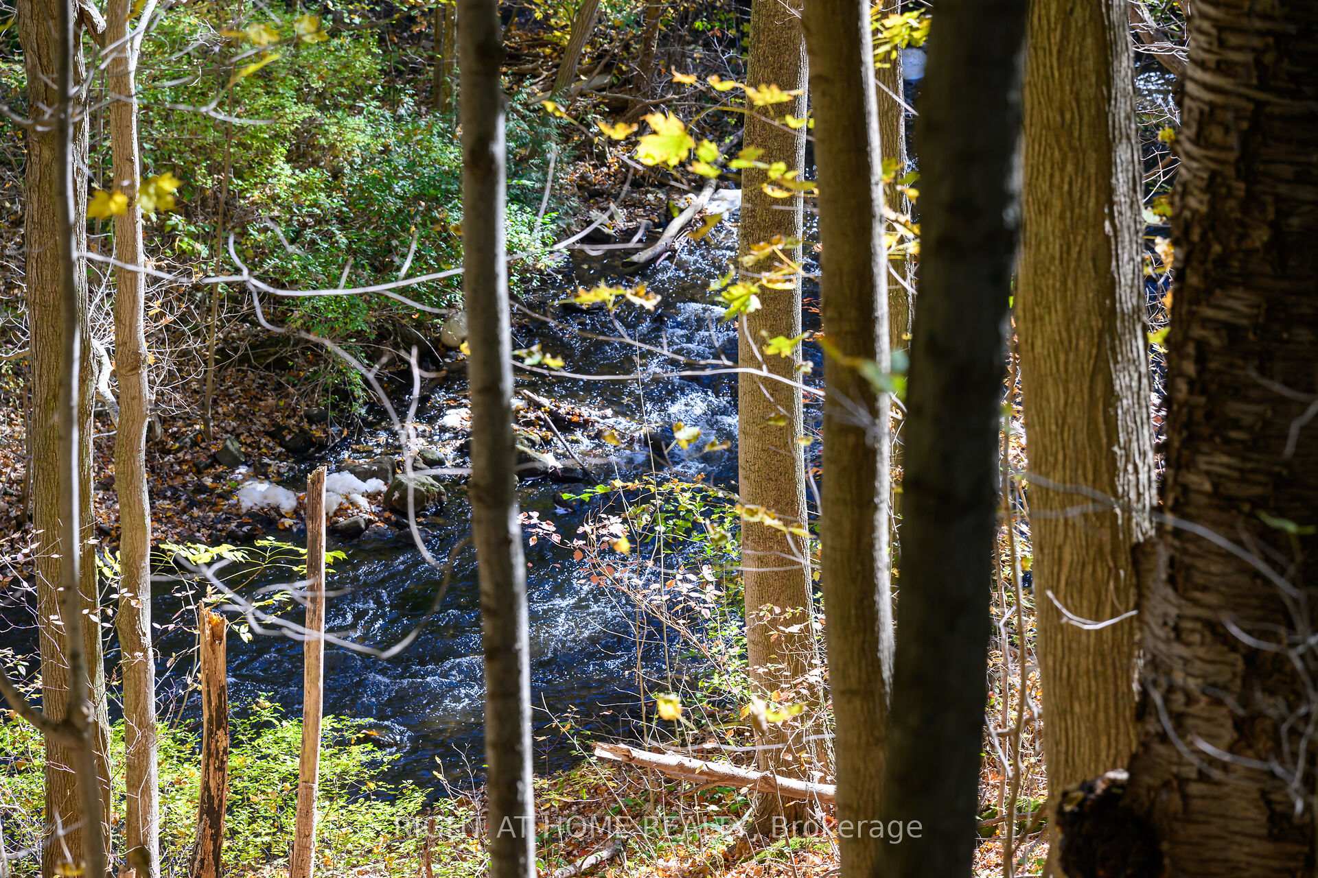 Photo 43 of 1396 Progreston Road, Hamilton, Rural Flamborough — HOMEH