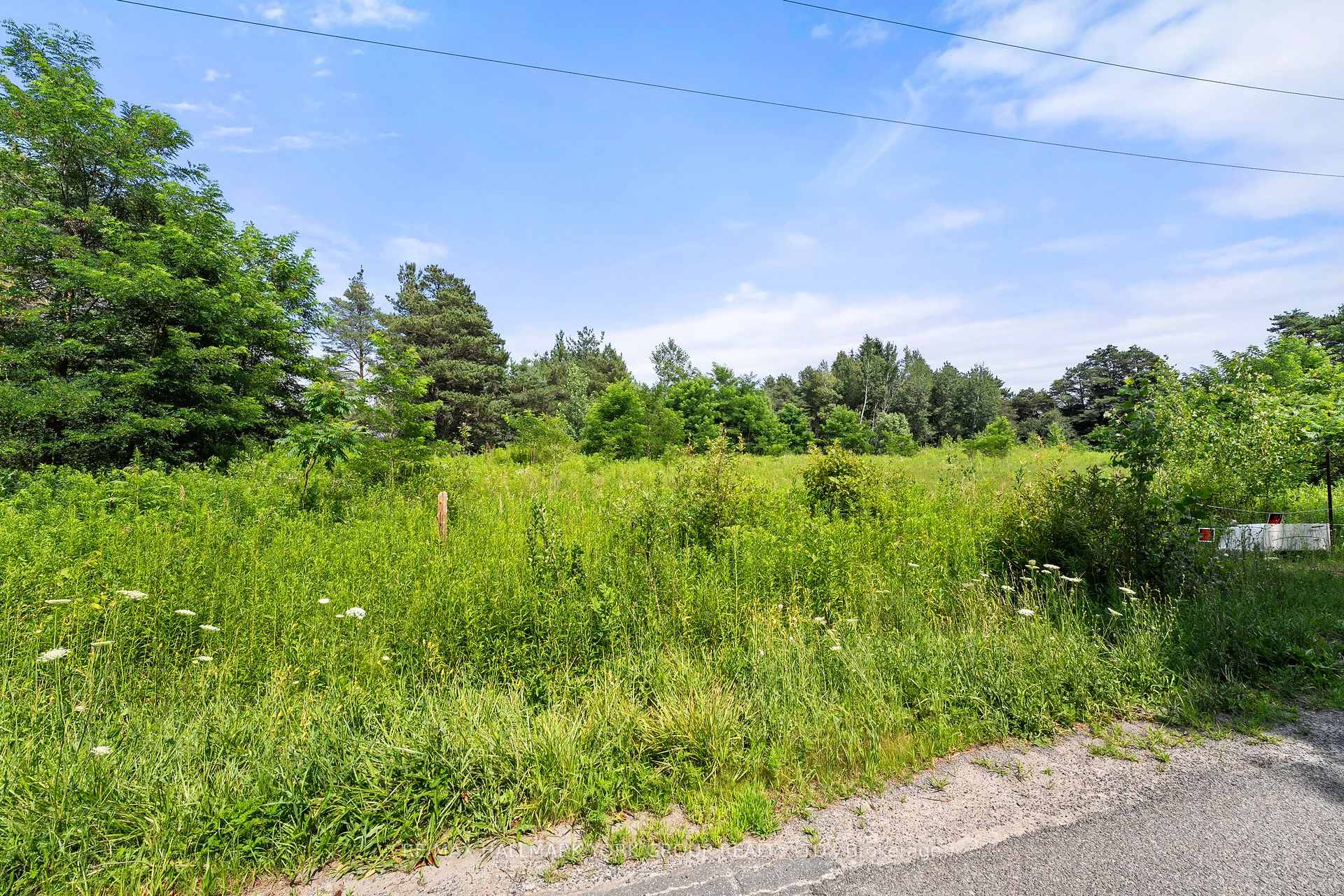 Photo 7 of 3799 Rundle Road, Clarington, Bowmanville — HOMEH