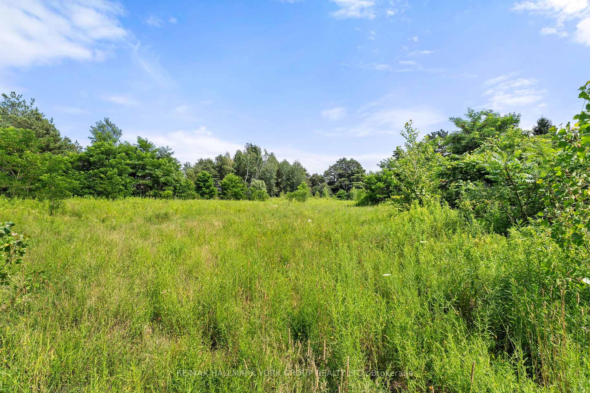 Photo 9 of 3799 Rundle Road, Clarington, Bowmanville — HOMEH