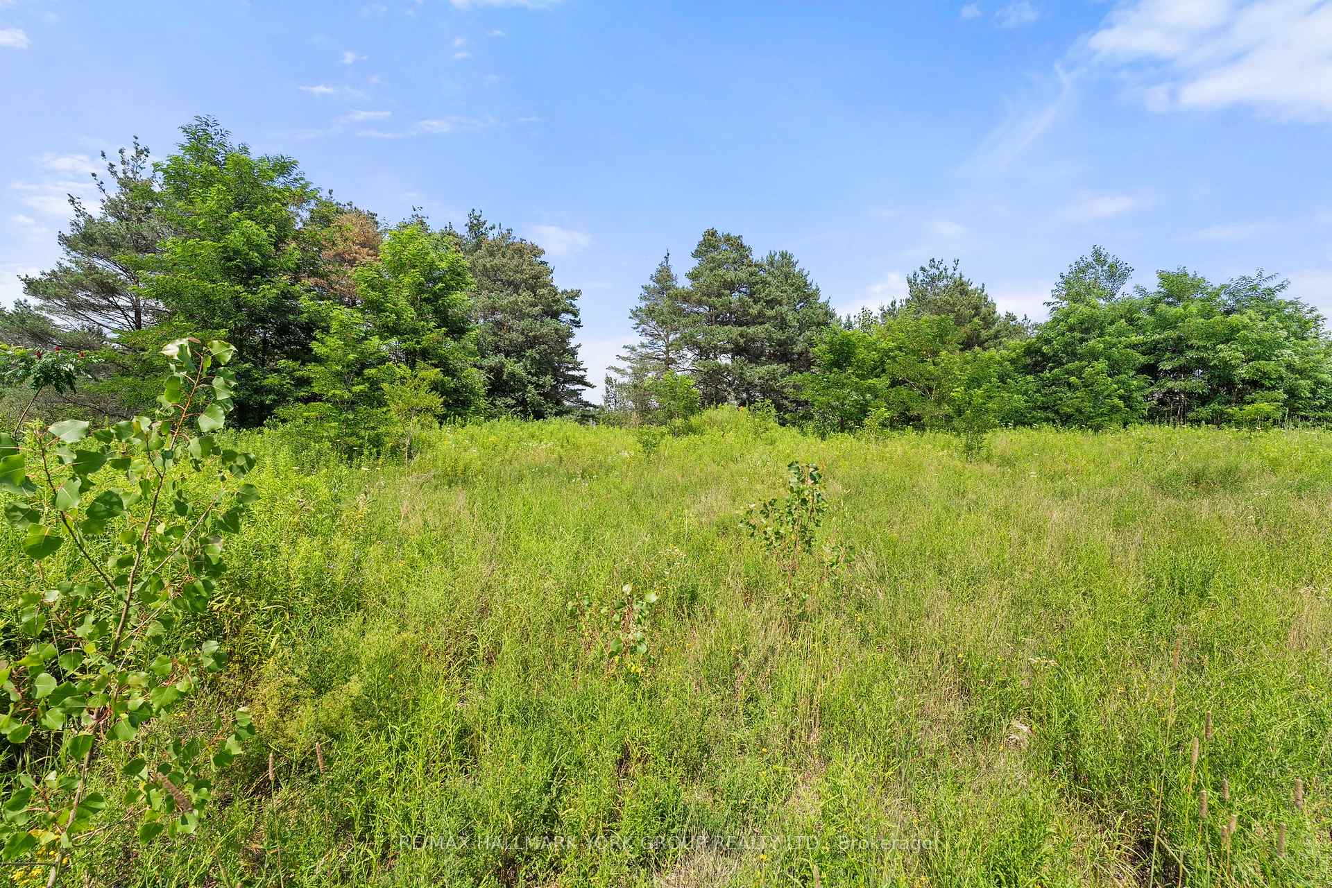 Photo 10 of 3799 Rundle Road, Clarington, Bowmanville — HOMEH