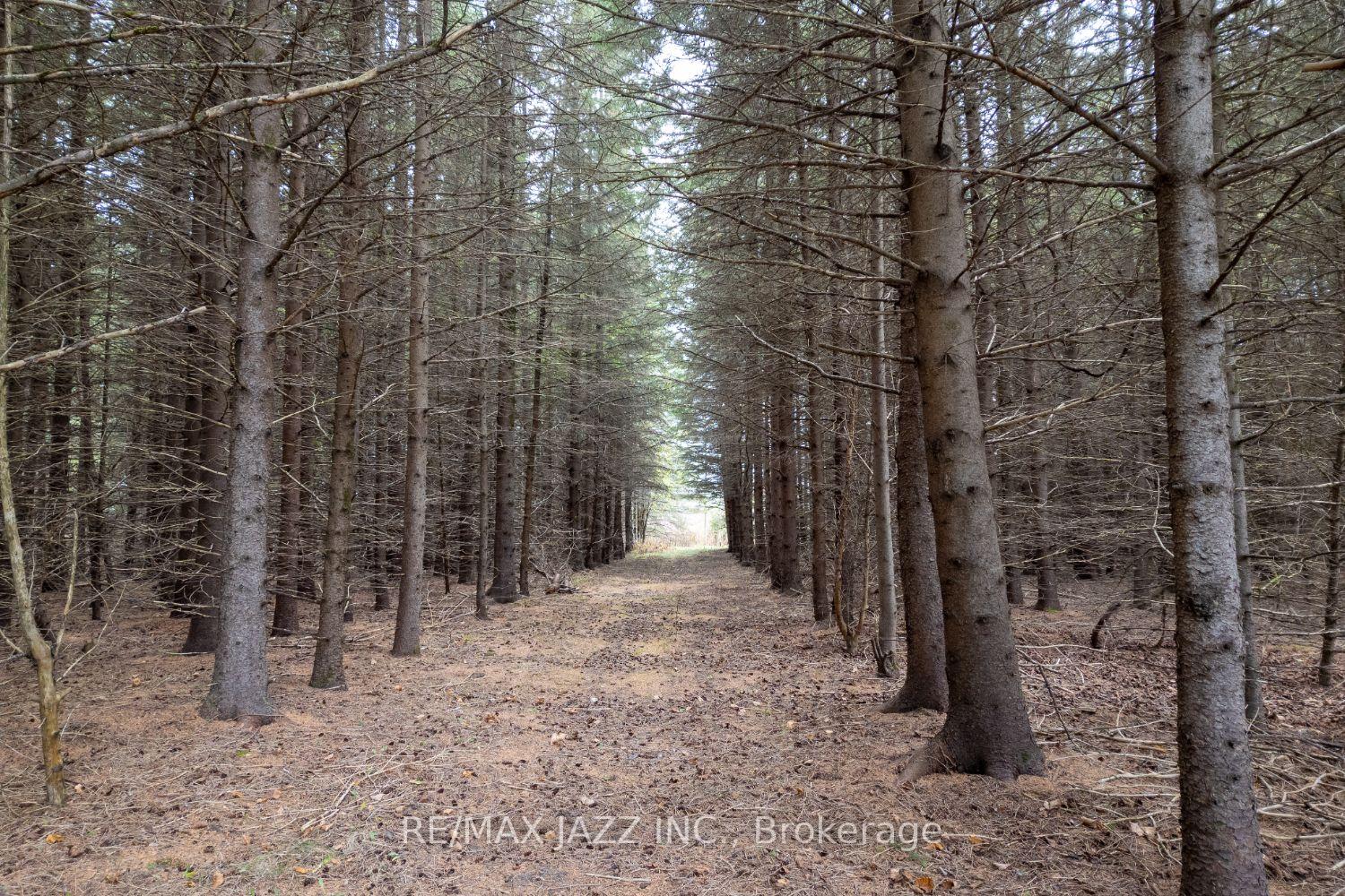 Photo 37 of 190 King Lane, Clarington, Rural Clarington — HOMEH