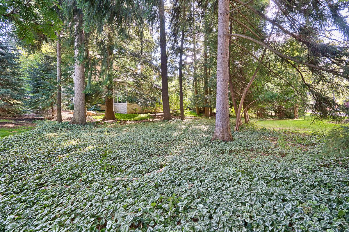 Photo 49 of 177 Lovers Lane, Hamilton, Ancaster — HOMEH