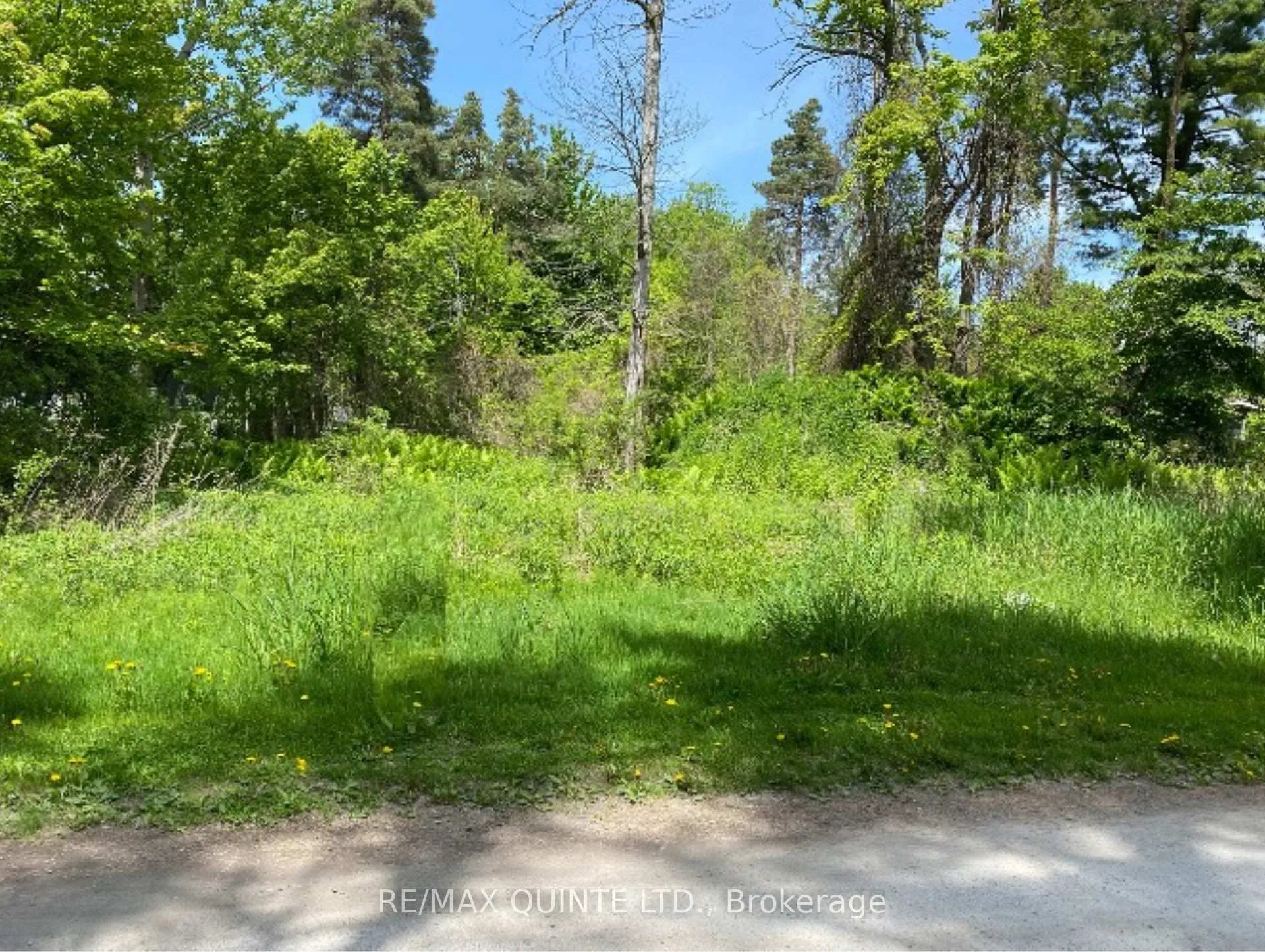 Photo of 149 Evergreen Lane
