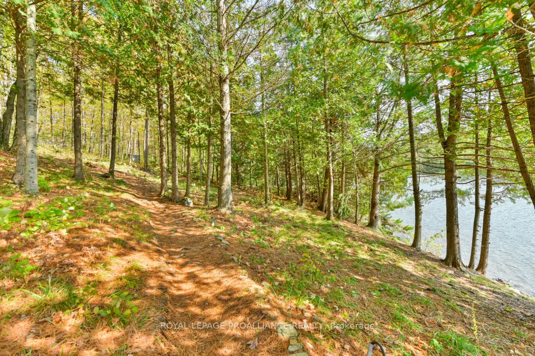 Photo 6 of Swaugers Lake, Frontenac, Frontenac North — HOMEH