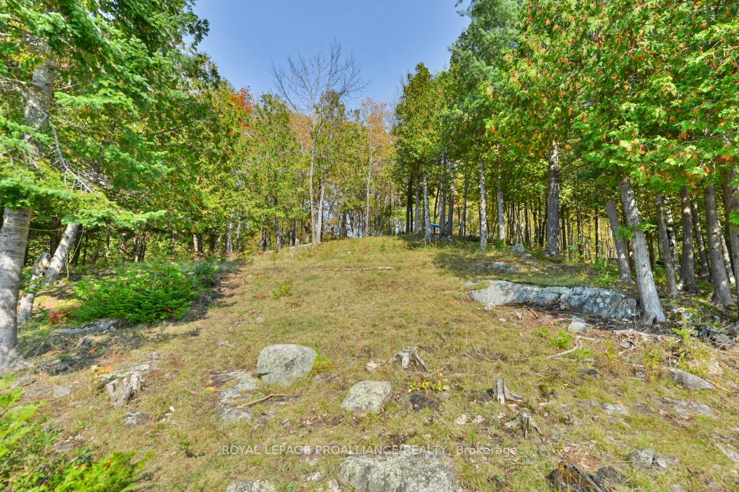Photo 13 of Swaugers Lake, Frontenac, Frontenac North — HOMEH
