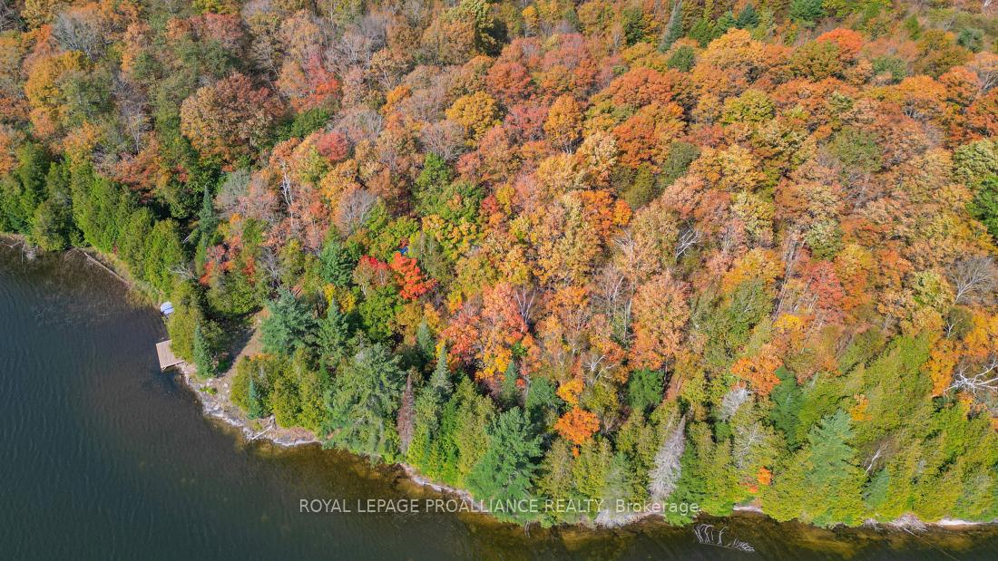 Photo 16 of Swaugers Lake, Frontenac, Frontenac North — HOMEH