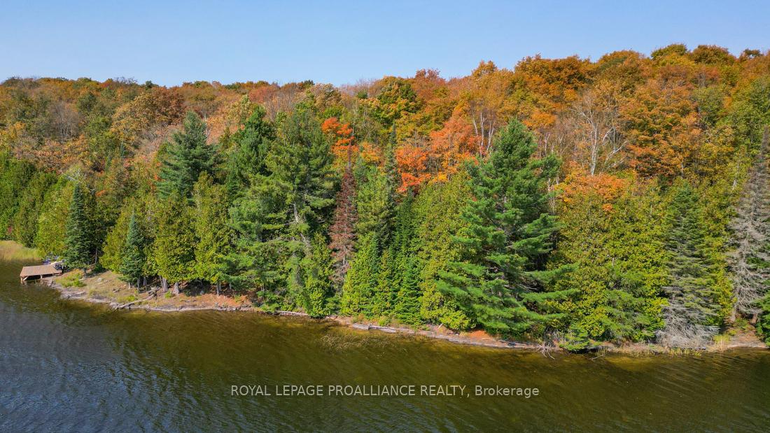 Photo 20 of Swaugers Lake, Frontenac, Frontenac North — HOMEH