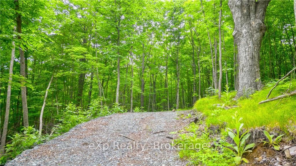 Photo 7 of LT 12 Devil Lake Road, Frontenac, Frontenac South — HOMEH