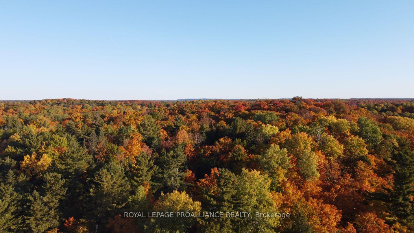 Photo 4 of Con 13 PtLt 30 Turtle Lake Lane, Frontenac, Frontenac North — HOMEH