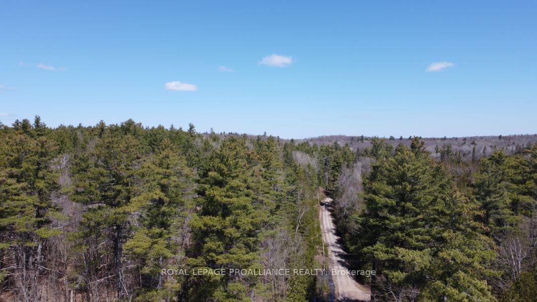 Photo 5 of Con 13 PtLt 30 Turtle Lake Lane, Frontenac, Frontenac North — HOMEH