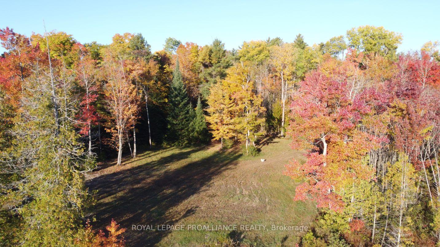 Photo 8 of Con 13 PtLt 30 Turtle Lake Lane, Frontenac, Frontenac North — HOMEH