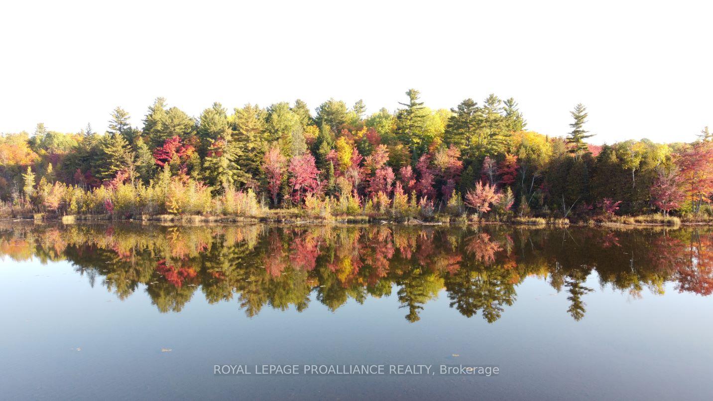 Photo 10 of Con 13 PtLt 30 Turtle Lake Lane, Frontenac, Frontenac North — HOMEH