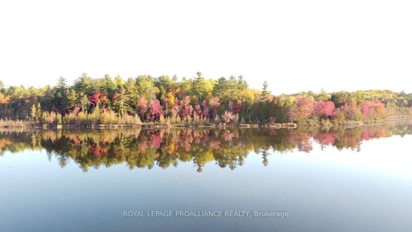 Photo 11 of Con 13 PtLt 30 Turtle Lake Lane, Frontenac, Frontenac North — HOMEH
