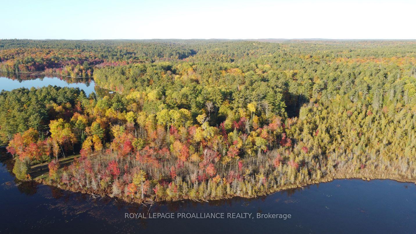Photo 14 of Con 13 PtLt 30 Turtle Lake Lane, Frontenac, Frontenac North — HOMEH