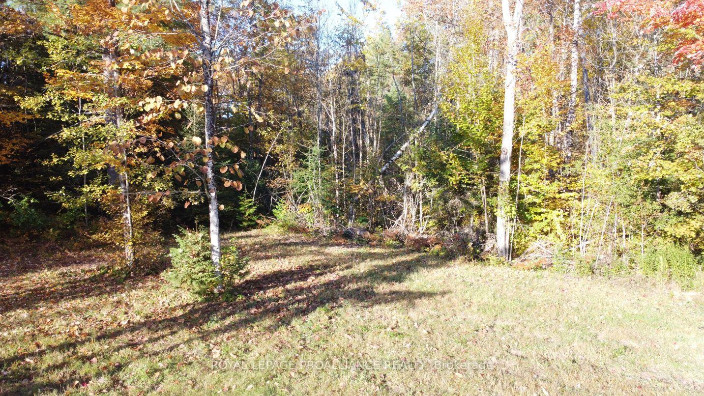 Photo 17 of Con 13 PtLt 30 Turtle Lake Lane, Frontenac, Frontenac North — HOMEH