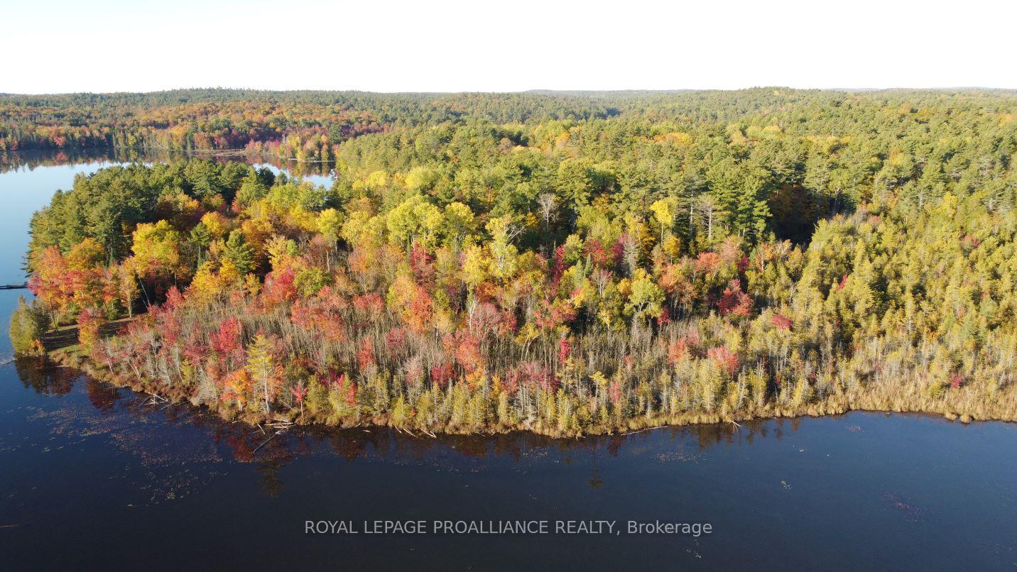 Photo 19 of Con 13 PtLt 30 Turtle Lake Lane, Frontenac, Frontenac North — HOMEH