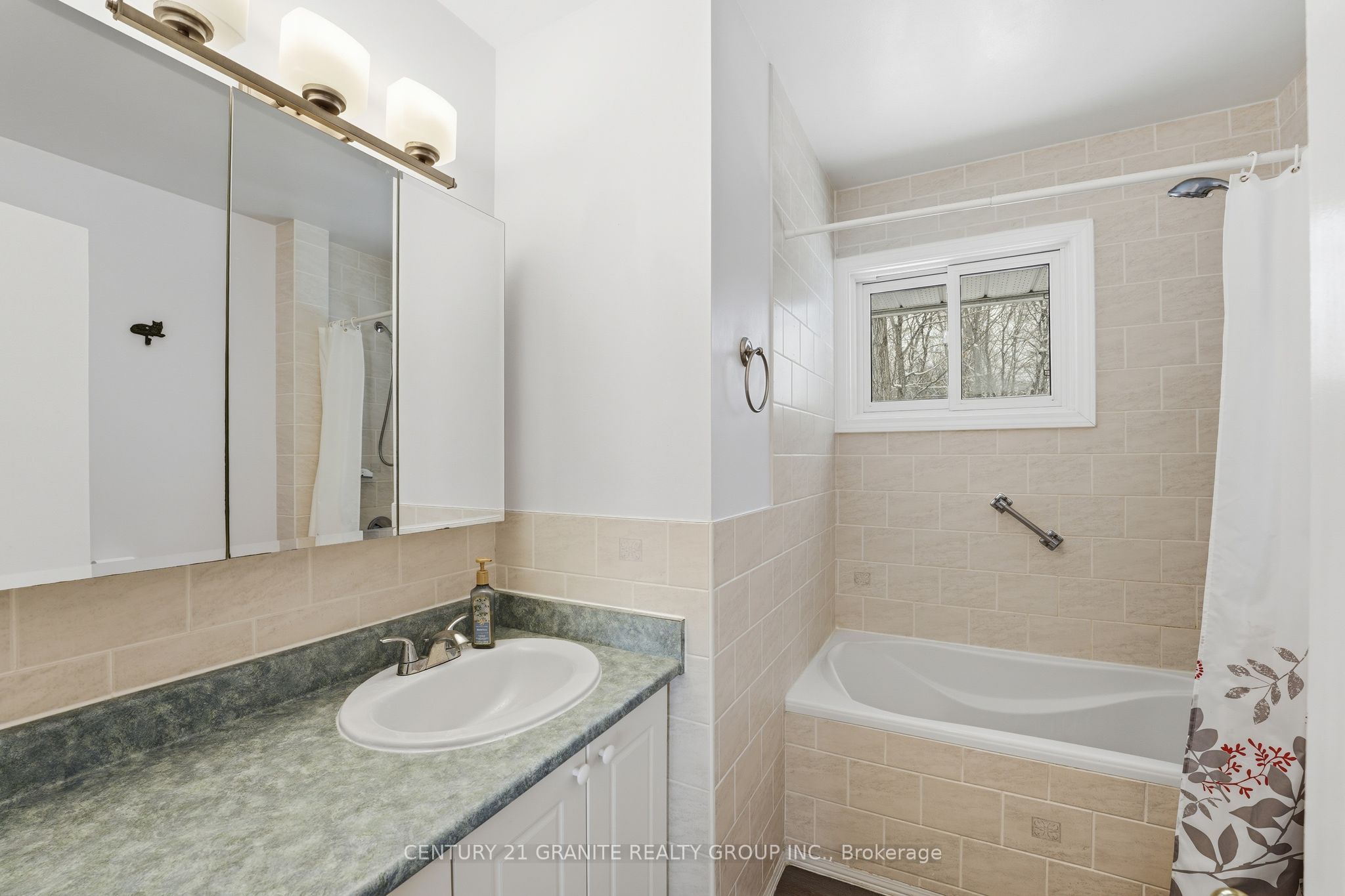 Photo 63 of 12 Forest Hill Road, Bancroft, Bancroft Ward — HOMEH