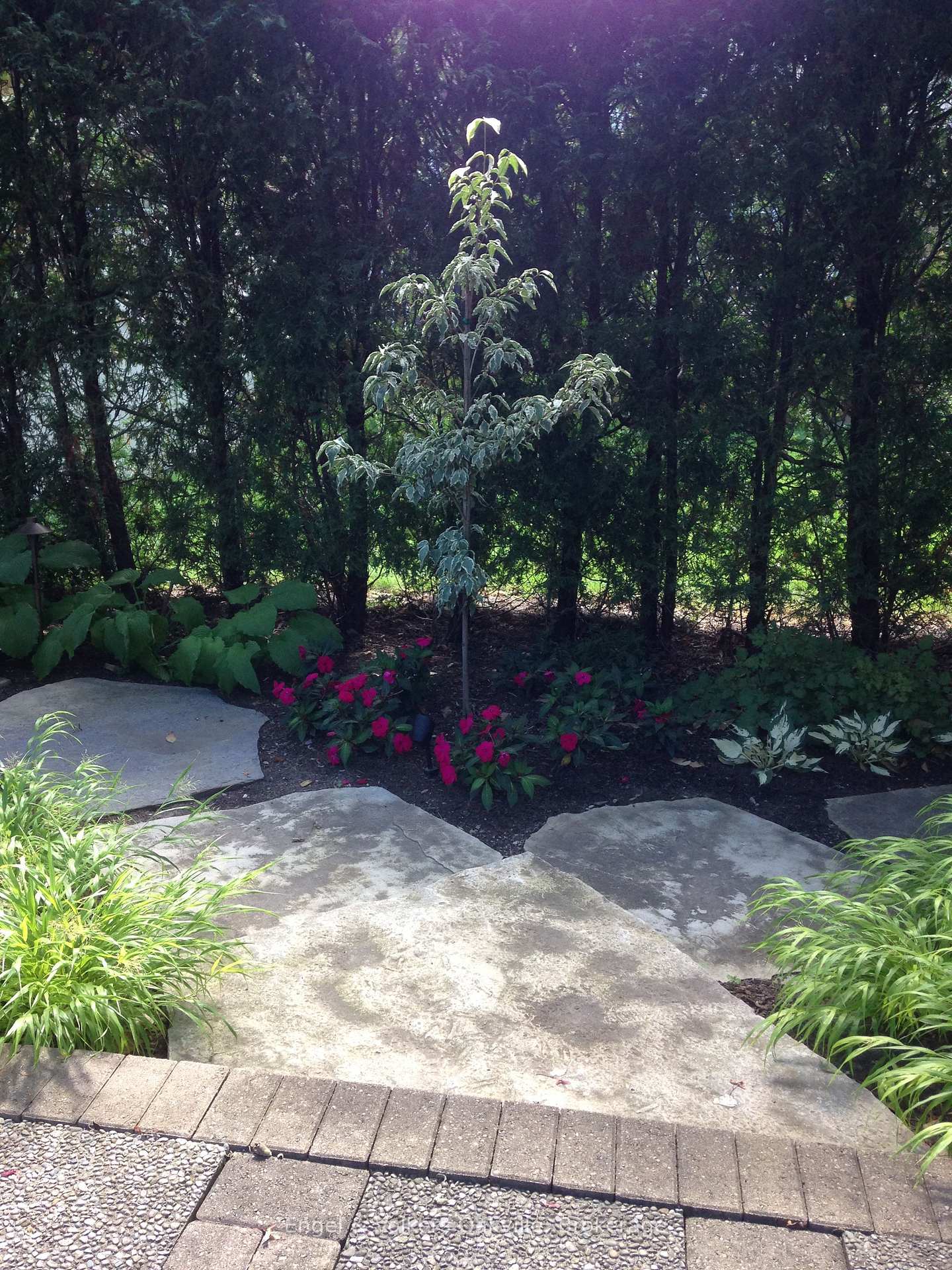 Photo 31 of 950 Wintergreen Place, Burlington, Bayview — HOMEH