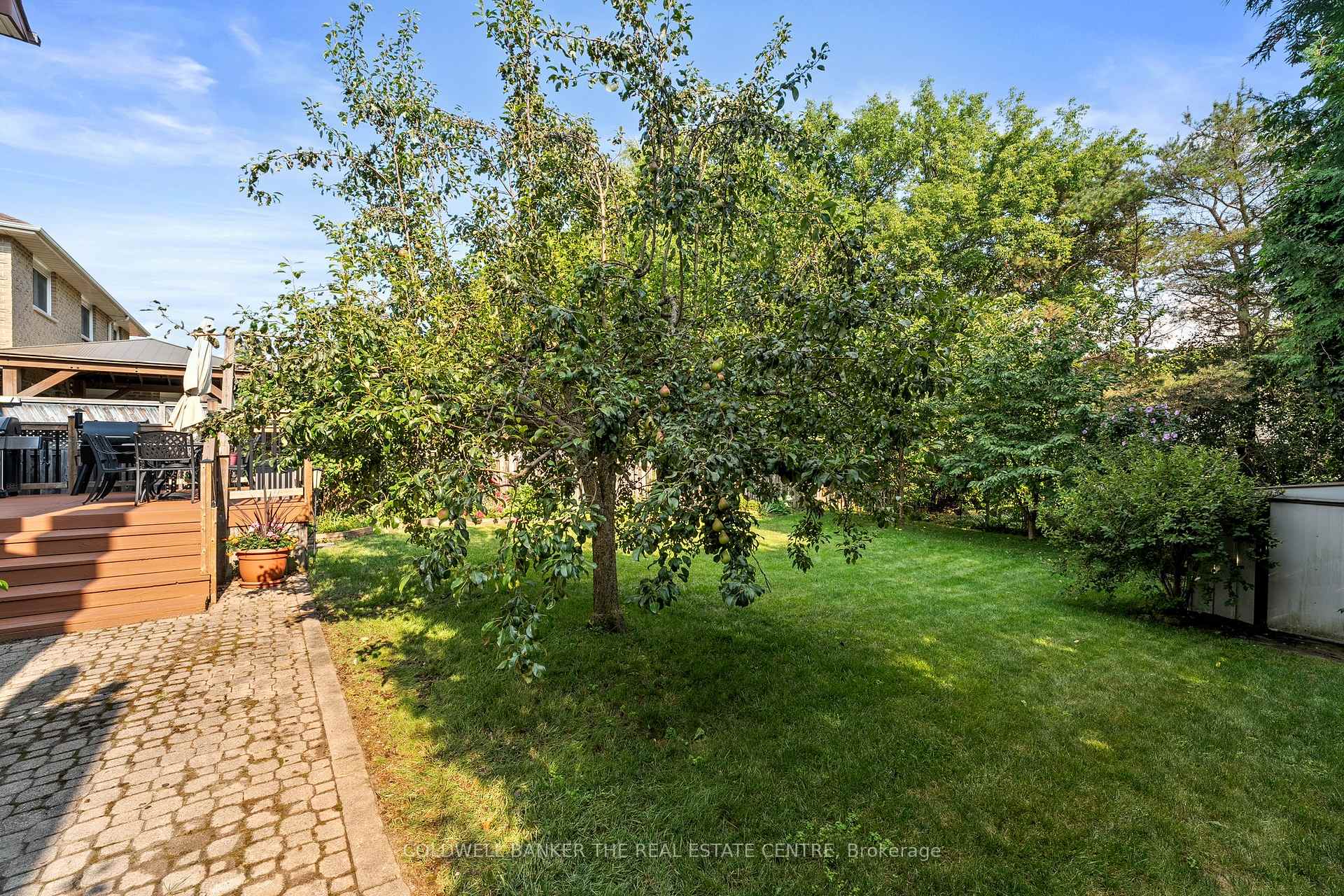 Photo 38 of 55 Blyth Street N, Richmond Hill, Oak Ridges — HOMEH