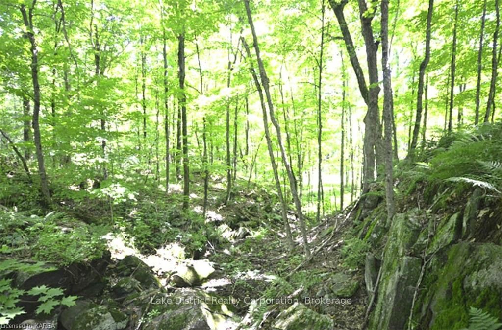 Photo 4 of 10914 Road 38, Frontenac, Frontenac Centre — HOMEH