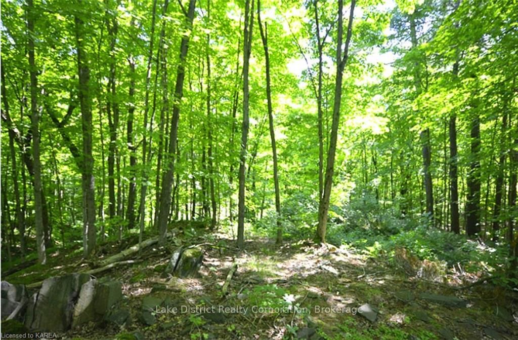 Photo 5 of 10914 Road 38, Frontenac, Frontenac Centre — HOMEH