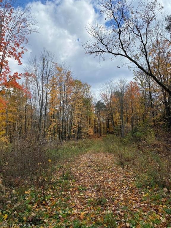 Photo 15 of 10914 Road 38, Frontenac, Frontenac Centre — HOMEH