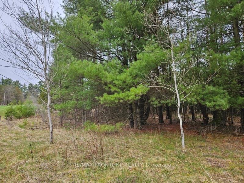 Photo 6 of 7666 Hwy 38, Frontenac, Frontenac South — HOMEH