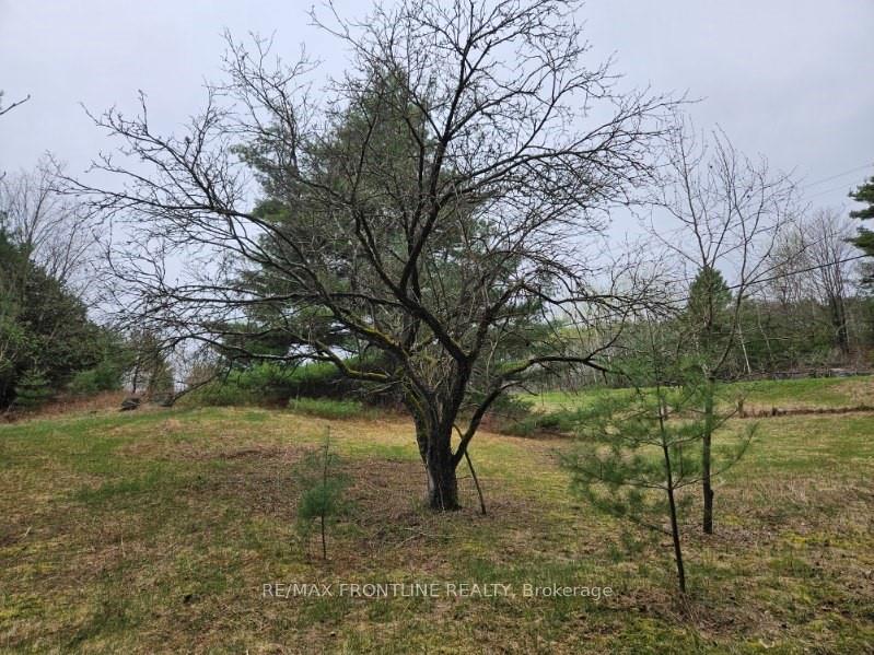 Photo 9 of 7666 Hwy 38, Frontenac, Frontenac South — HOMEH