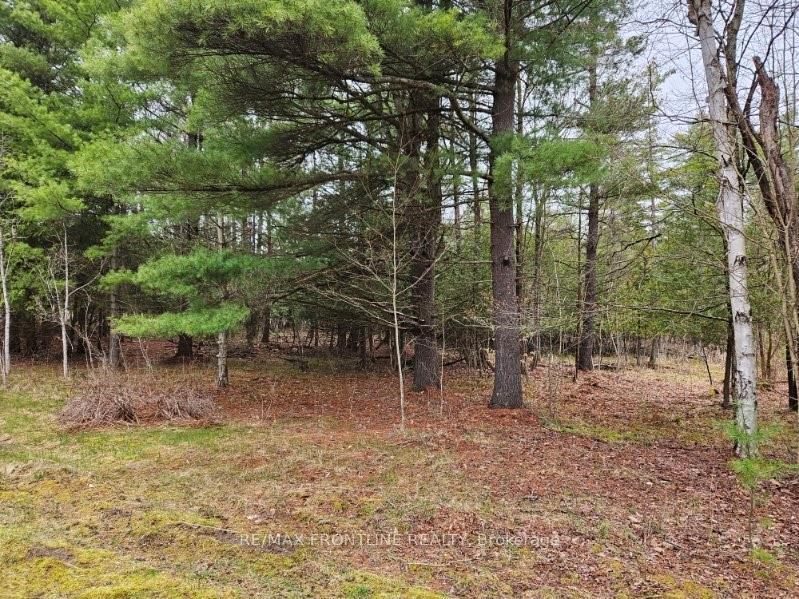Photo 10 of 7666 Hwy 38, Frontenac, Frontenac South — HOMEH