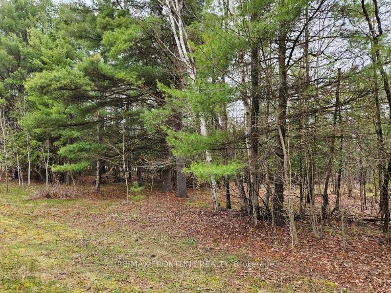 Photo 12 of 7666 Hwy 38, Frontenac, Frontenac South — HOMEH