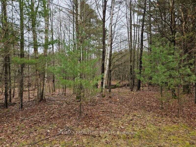 Photo 15 of 7666 Hwy 38, Frontenac, Frontenac South — HOMEH
