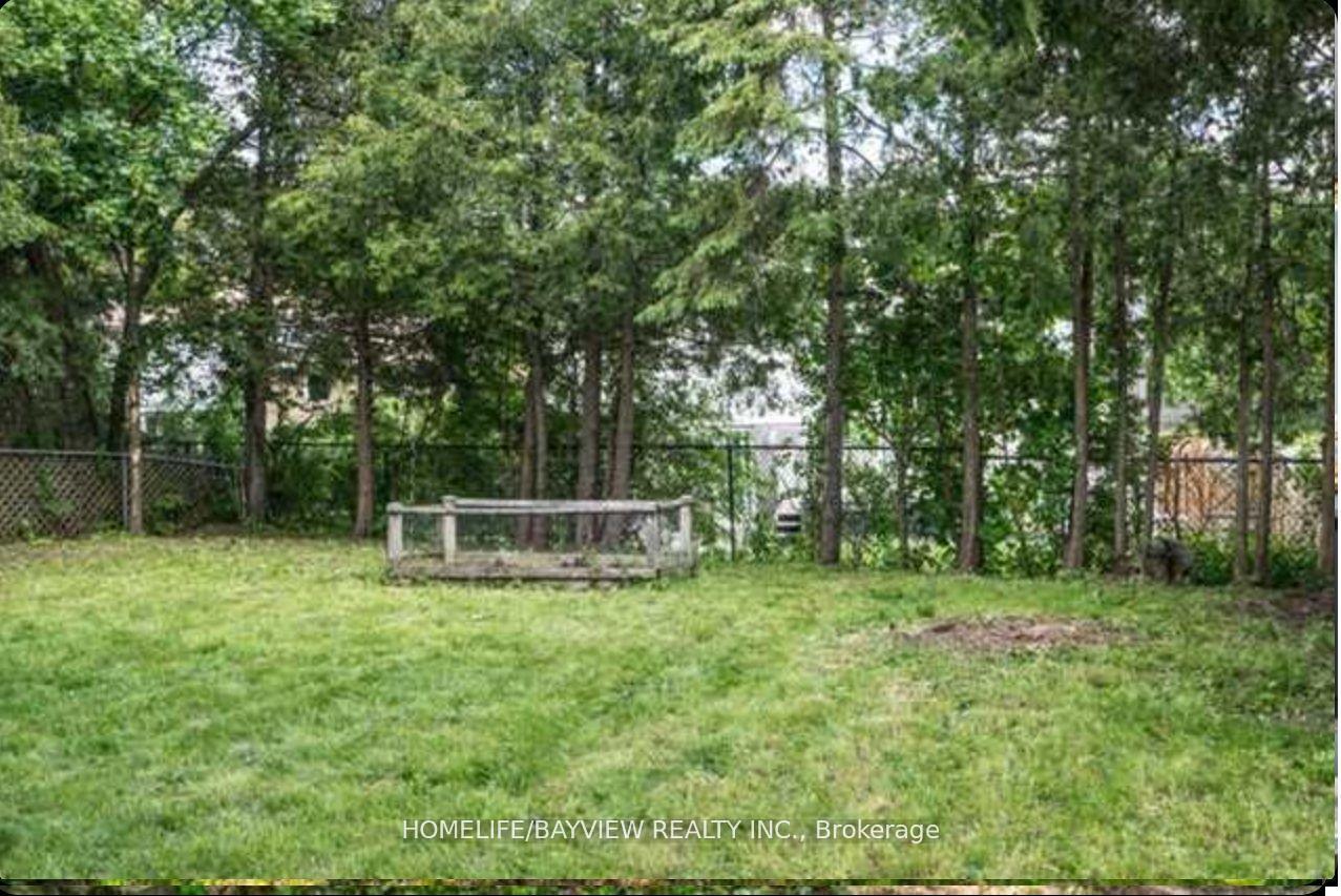Photo 9 of 6 Devins(Main Floor) Drive, Aurora, Aurora Heights — HOMEH