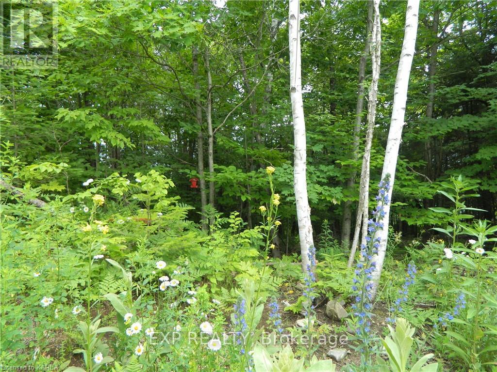 Photo 30 of 11579 Highway 509, Frontenac, Frontenac North — HOMEH
