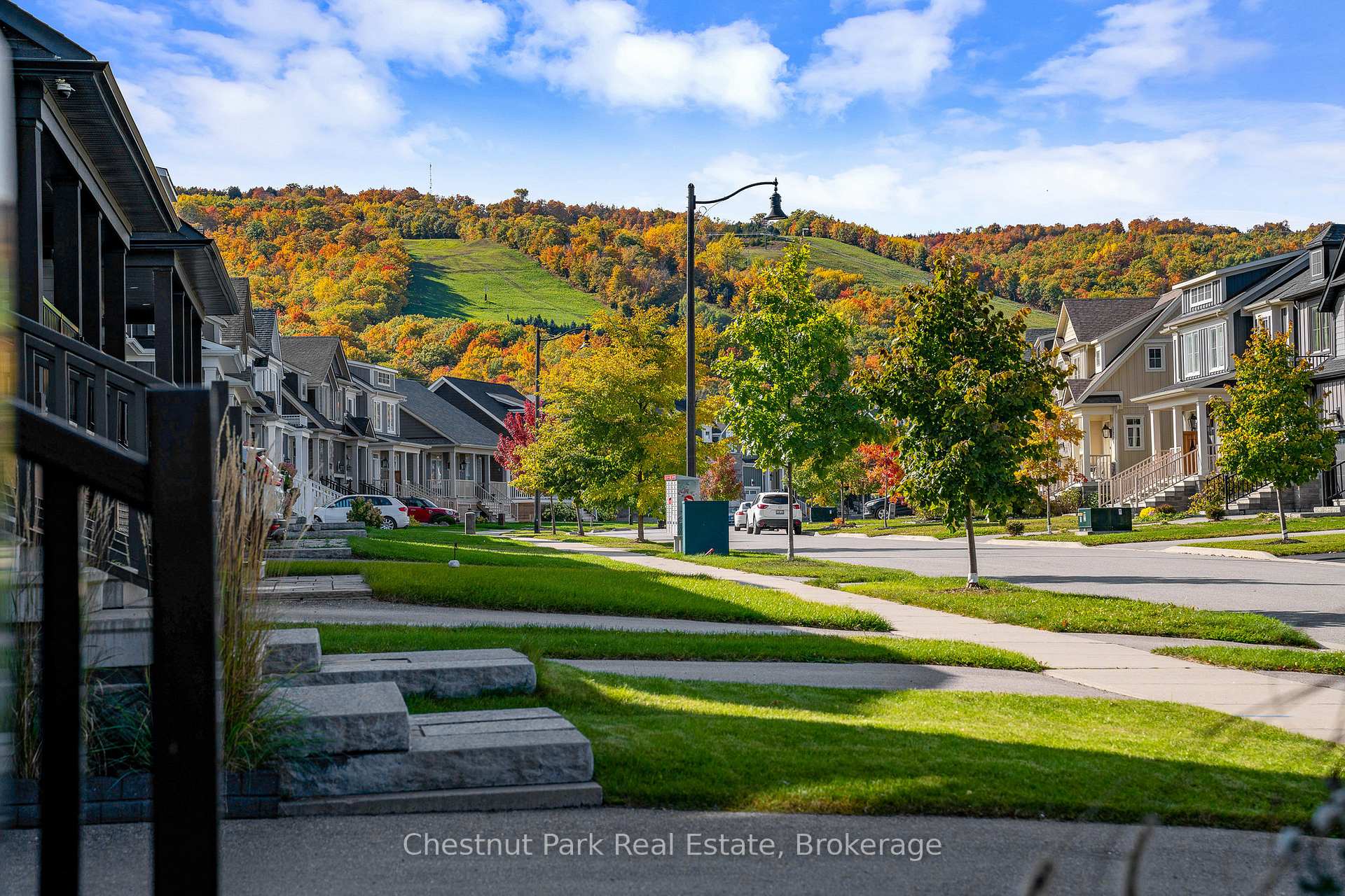 Photo 5 of 170 Yellow Birch Crescent, Blue Mountains — HOMEH